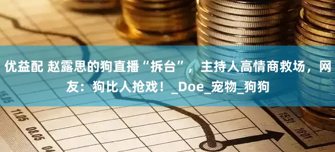优益配 赵露思的狗直播“拆台”，主持人高情商救场，网友：狗比人抢戏！_Doe_宠物_狗狗
