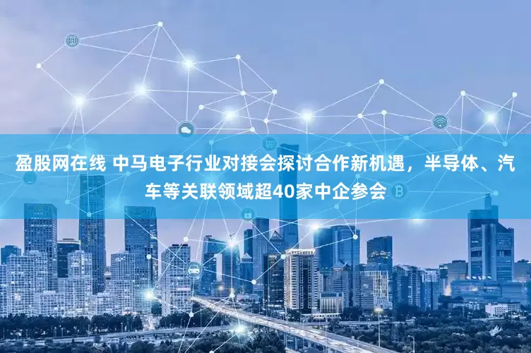 盈股网在线 中马电子行业对接会探讨合作新机遇，半导体、汽车等关联领域超40家中企参会