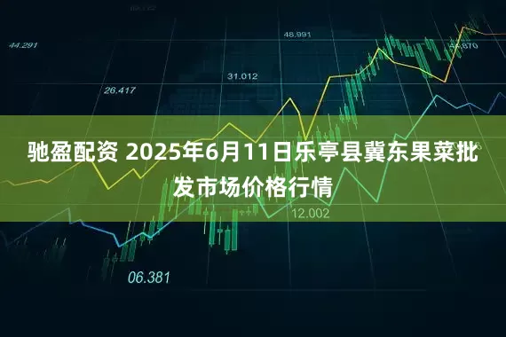 驰盈配资 2025年6月11日乐亭县冀东果菜批发市场价格行情